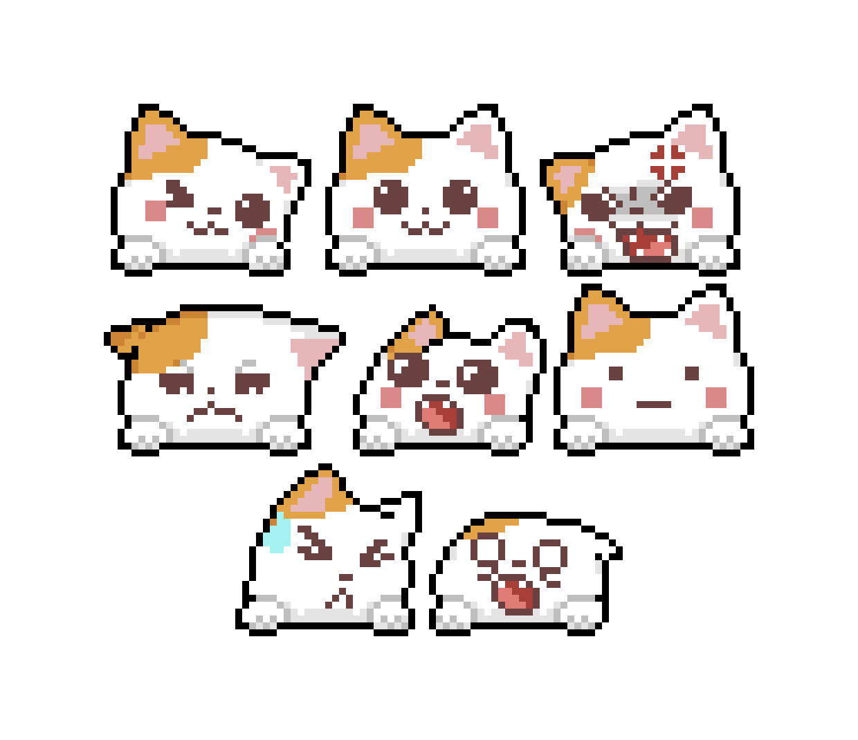 Cat Emotes